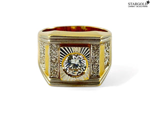 Descriptive image text