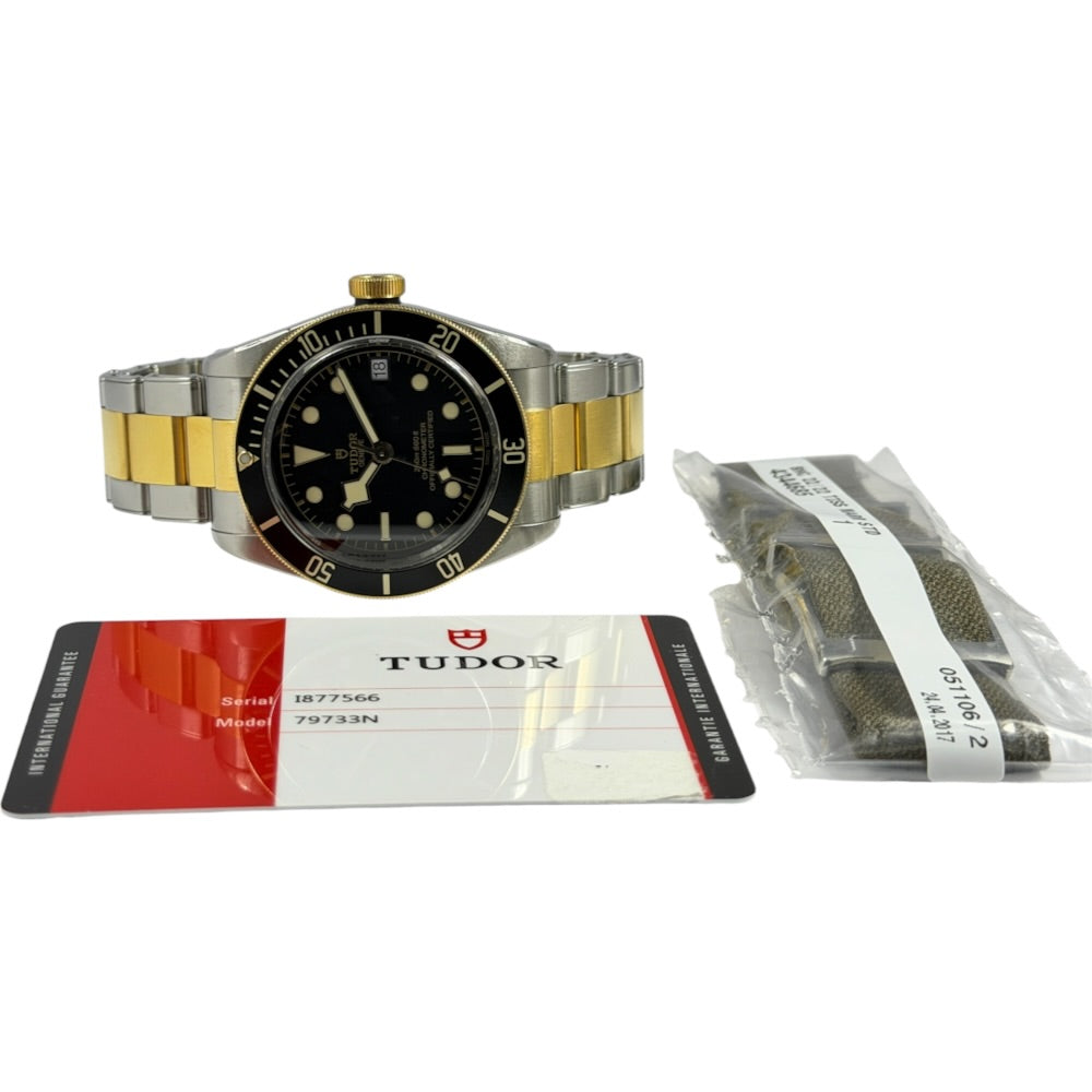 Tudor Black Bay S&g Heritage - 79733N