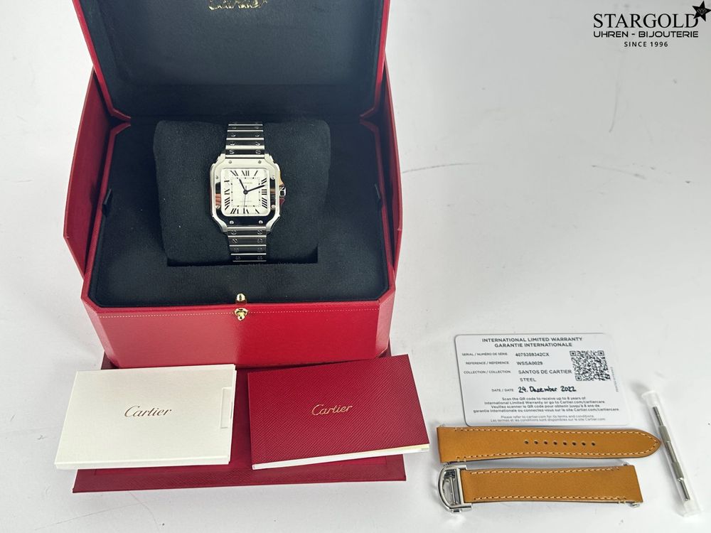 Cartier Santos de Cartier - WSSA0029