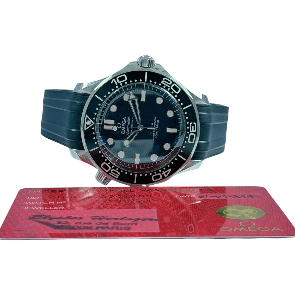 Omega Seamaster Diver 300 M - 210.32.42.20.01.003