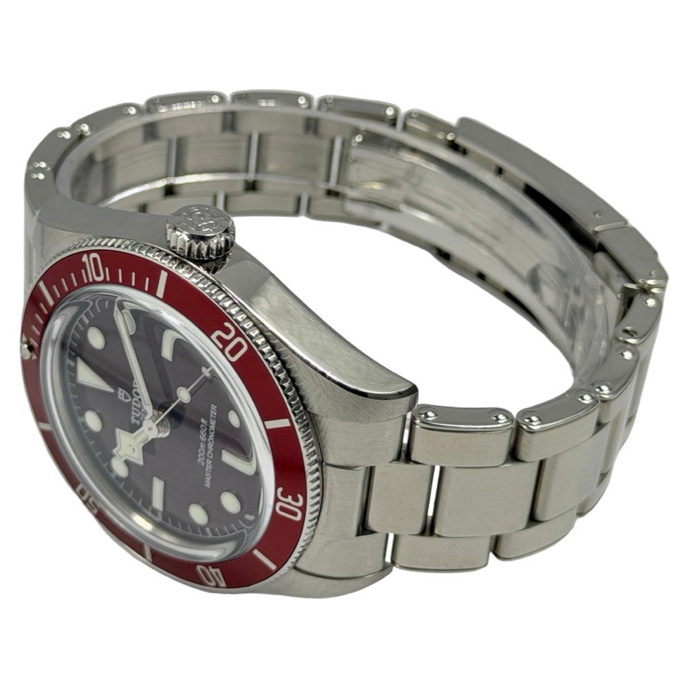 Tudor Black Bay 58 - 7939A1A0RU