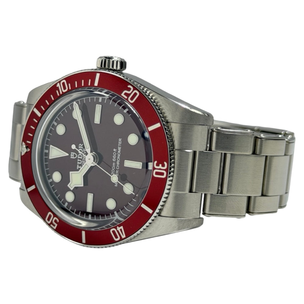 Tudor Black Bay 58 - 7939A1A0RU