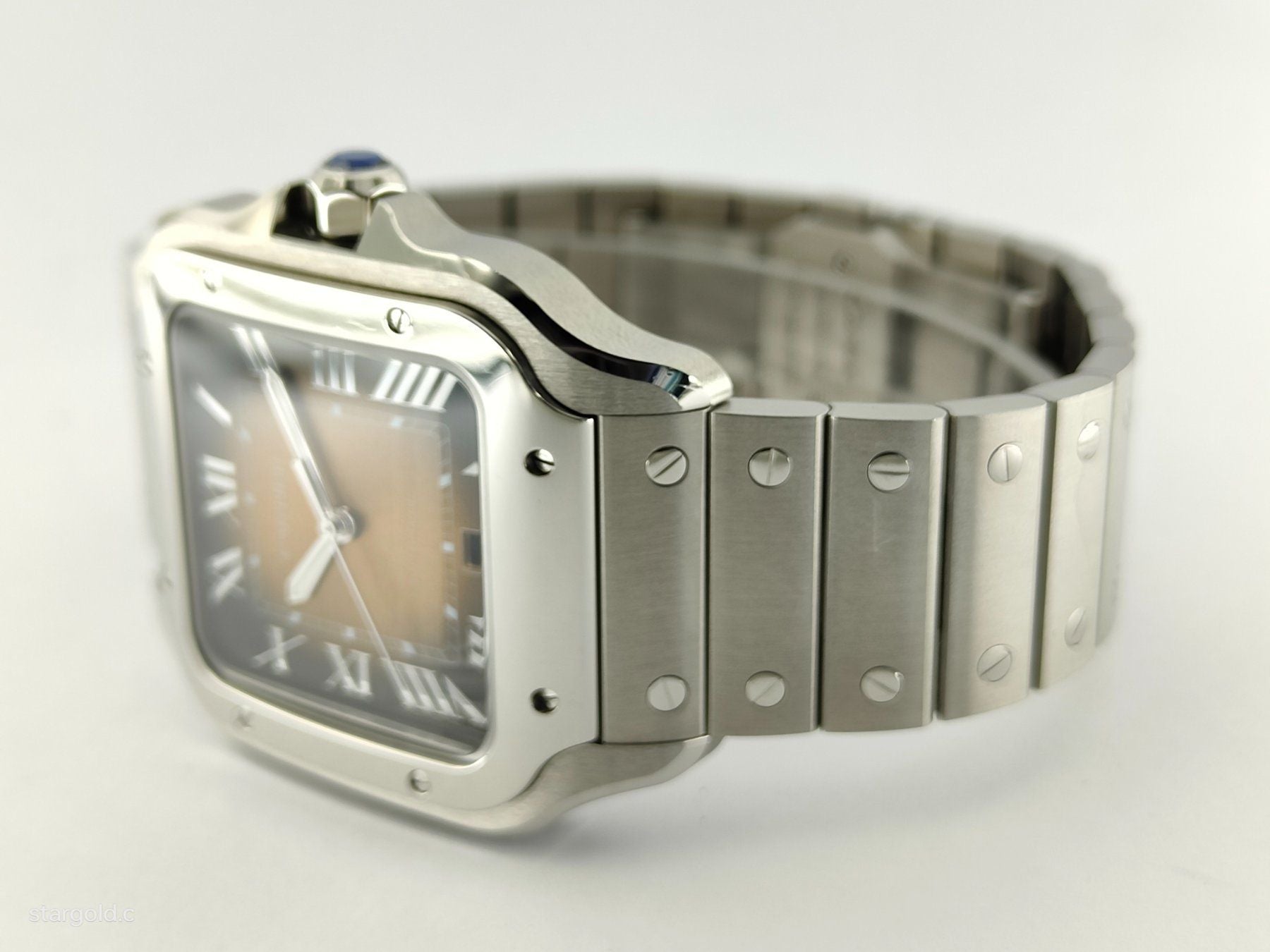 Cartier Santos De Cartier Braun - WSSA0064