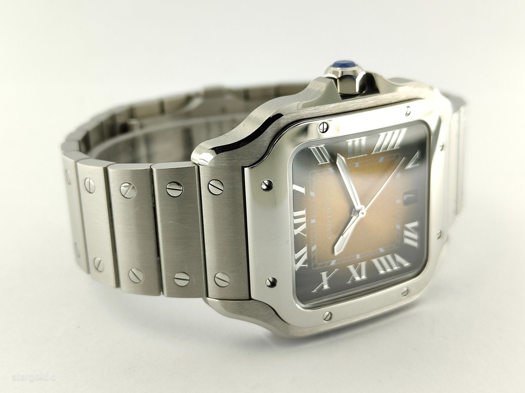 Cartier Santos De Cartier Marron - WSSA0064