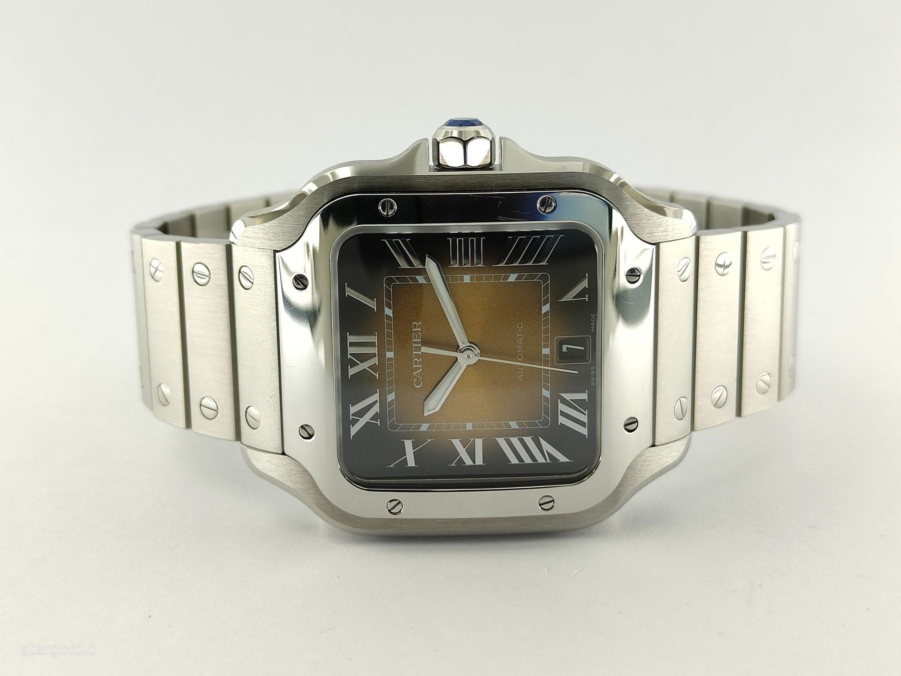 Cartier Santos De Cartier Braun - WSSA0064