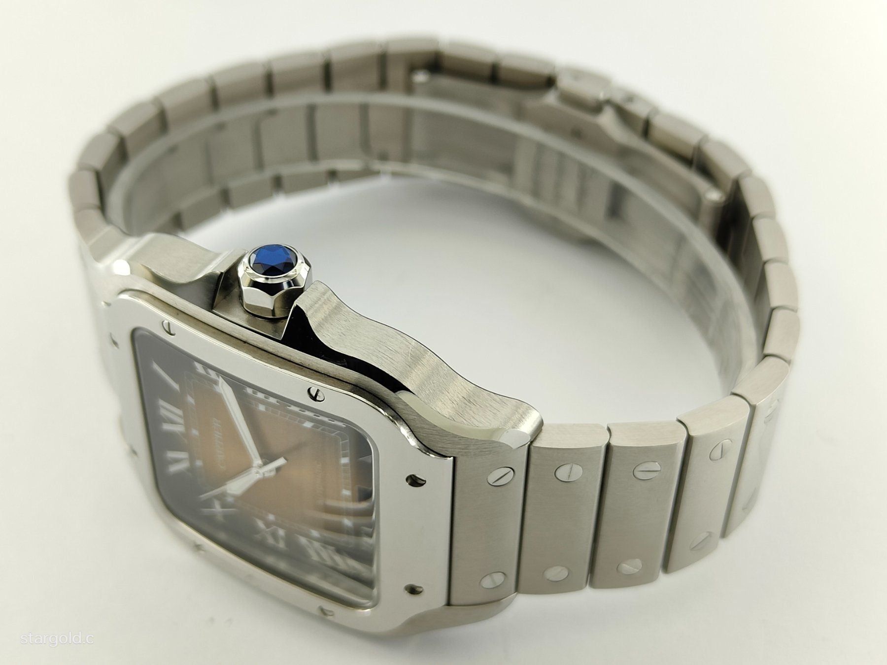 Cartier Santos De Cartier Braun - WSSA0064