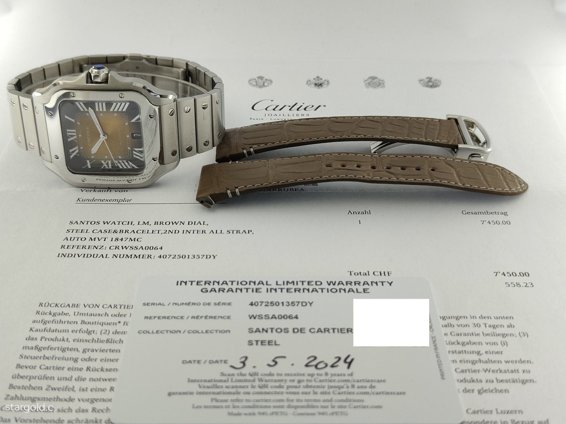 Cartier Santos De Cartier Braun - WSSA0064