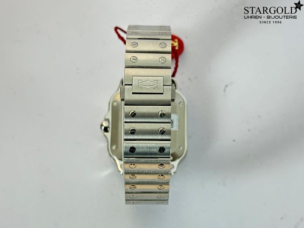 Santos de Cartier - WSSA0061